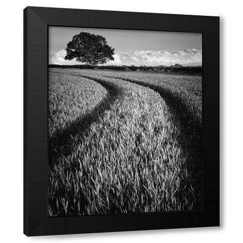 Tree at sunset Black Modern Wood Framed Art Print by Jones-Davies, Russell