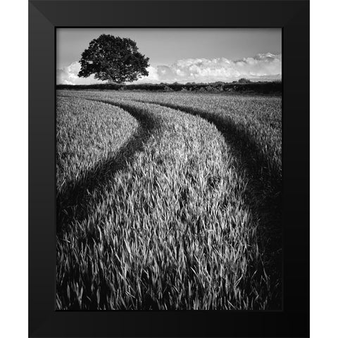 Tree at sunset Black Modern Wood Framed Art Print by Jones-Davies, Russell