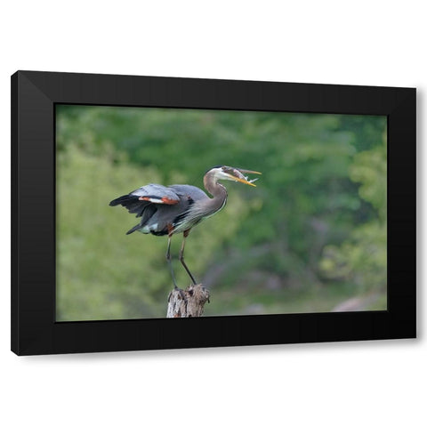 A Good Place To Enjoy The Meal Black Modern Wood Framed Art Print with Double Matting by Xu, Sheila