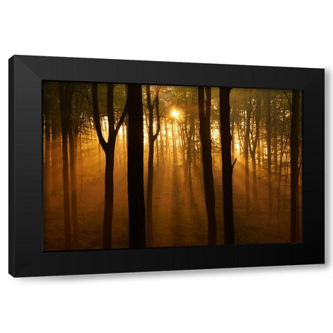 Muziekbos Black Modern Wood Framed Art Print with Double Matting by Baekelandt, Luc