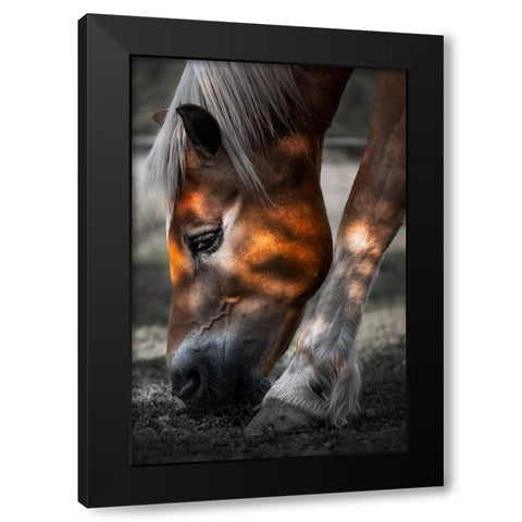 Filtered Light Black Modern Wood Framed Art Print with Double Matting by Wilson, Francis