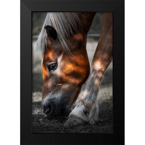 Filtered Light Black Modern Wood Framed Art Print by Wilson, Francis