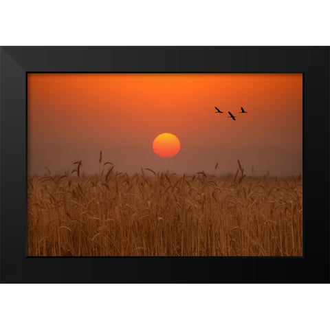 End Day Black Modern Wood Framed Art Print by Bar Or, Eyal