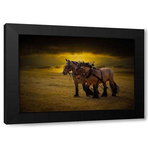 Horse III Black Modern Wood Framed Art Print with Double Matting by Philippe, Laruelle