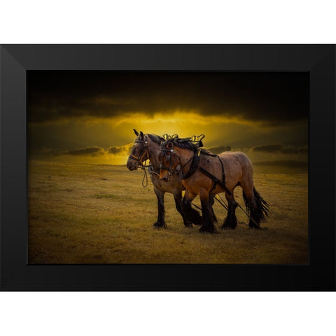 Horse III Black Modern Wood Framed Art Print by Philippe, Laruelle