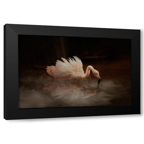 Flamingos Paradise Black Modern Wood Framed Art Print with Double Matting by Wisniowska, Krystina