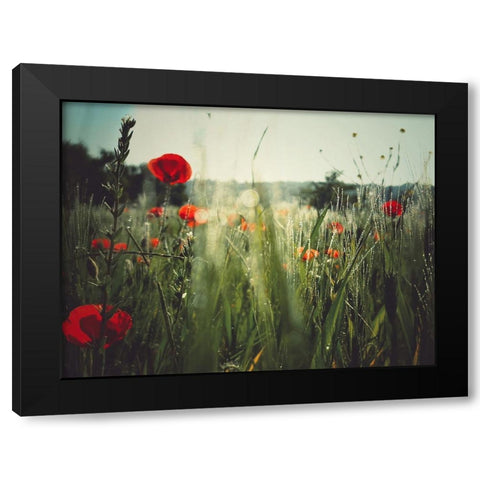 Spirit of the fields Black Modern Wood Framed Art Print with Double Matting by Margau, Delphine