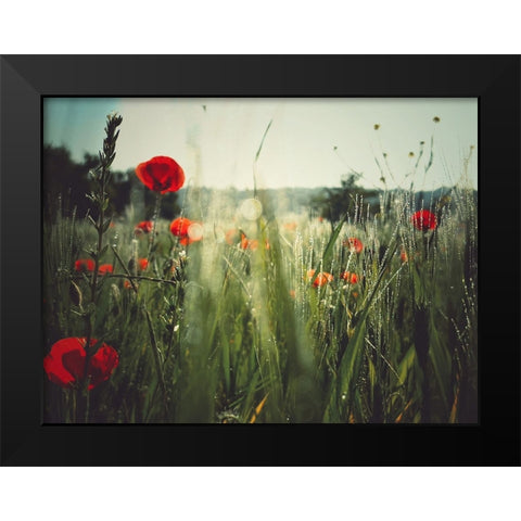 Spirit of the fields Black Modern Wood Framed Art Print by Margau, Delphine