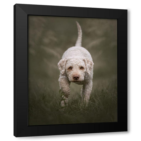 The Stalker Black Modern Wood Framed Art Print with Double Matting by Kuplenk, Nika