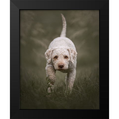 The Stalker Black Modern Wood Framed Art Print by Kuplenk, Nika