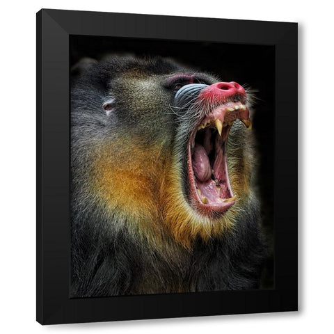 Yawn Black Modern Wood Framed Art Print by Satria Said, Asa