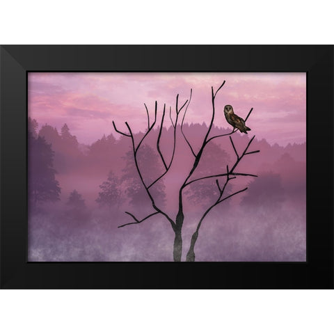 Pink Sky in the Morning Black Modern Wood Framed Art Print by A. Fletcher, Barbara