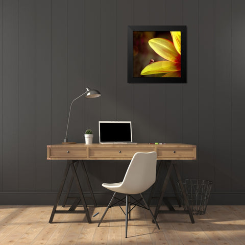 Untitled Black Modern Wood Framed Art Print by Cseresnjes, Anna