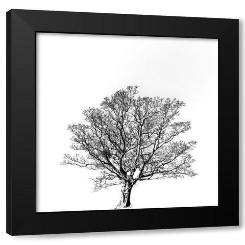 Overflowing vitality. Black Modern Wood Framed Art Print with Double Matting by Hisamitsu, Yuusuke