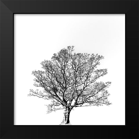 Overflowing vitality. Black Modern Wood Framed Art Print by Hisamitsu, Yuusuke