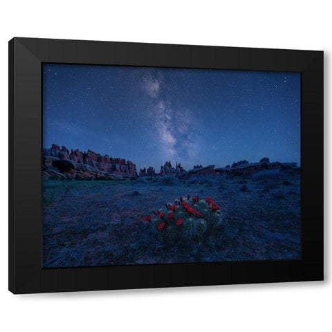 Milky Way Over Blooming Cactus In Needles District Black Modern Wood Framed Art Print by Xu, Mei