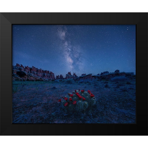 Milky Way Over Blooming Cactus In Needles District Black Modern Wood Framed Art Print by Xu, Mei