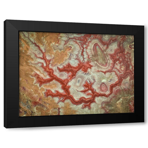 Red Dragon of The Badlands Black Modern Wood Framed Art Print by Zheng, Michael