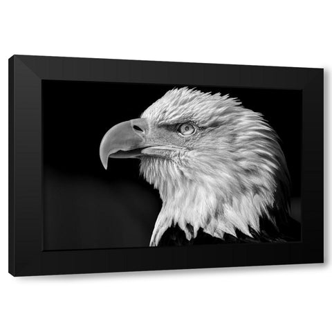 The eye Black Modern Wood Framed Art Print with Double Matting by Bisaillon, Martin