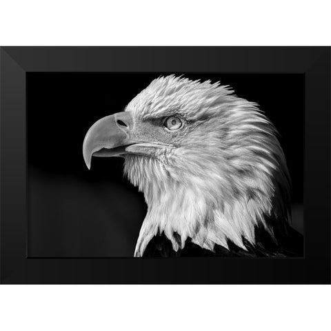 The eye Black Modern Wood Framed Art Print by Bisaillon, Martin