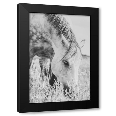 stallion Black Modern Wood Framed Art Print with Double Matting by De Jong, Arendina