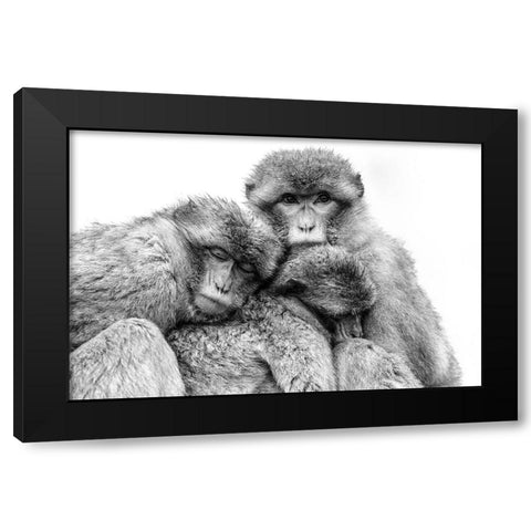 Keep together Black Modern Wood Framed Art Print with Double Matting by de Jong, Arendina