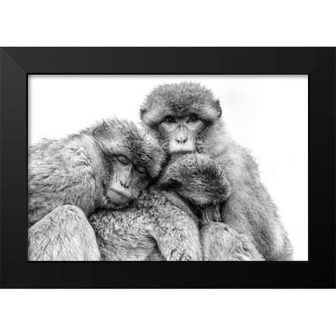 Keep together Black Modern Wood Framed Art Print by de Jong, Arendina