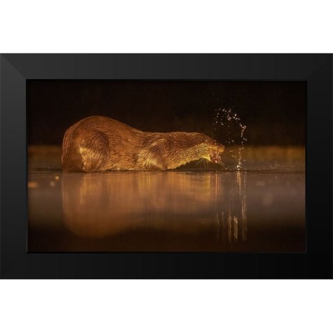 Otter Black Modern Wood Framed Art Print by Li, Min