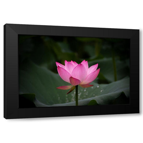 Untitled Black Modern Wood Framed Art Print by Song, Yunarto