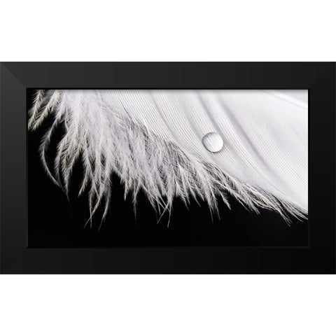 Slide Black Modern Wood Framed Art Print by Sokac, Drazen