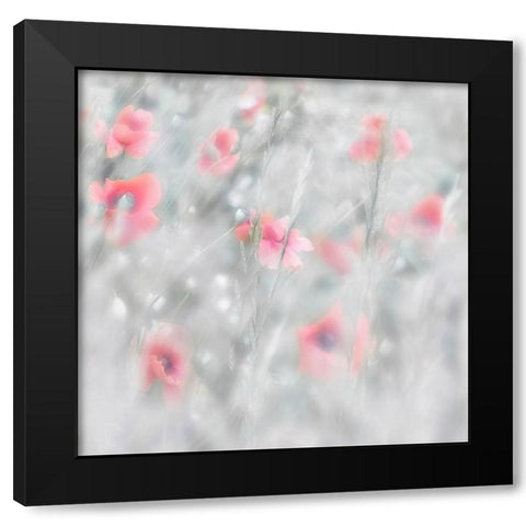 Poppies Black Modern Wood Framed Art Print by Stas, Marie-Anne