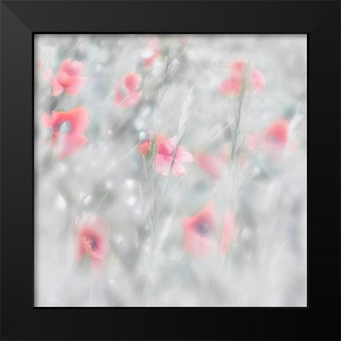 Poppies Black Modern Wood Framed Art Print by Stas, Marie-Anne