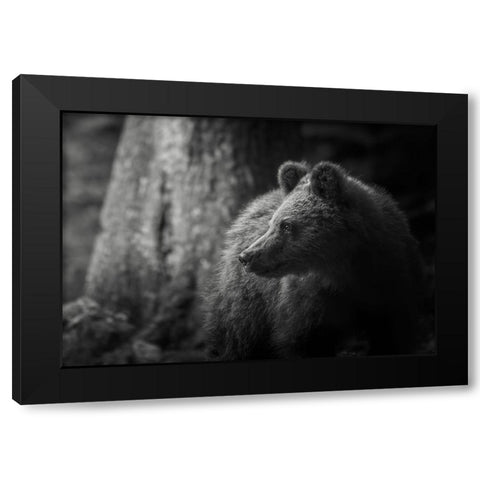Last light Black Modern Wood Framed Art Print with Double Matting by Venier, Giovanni