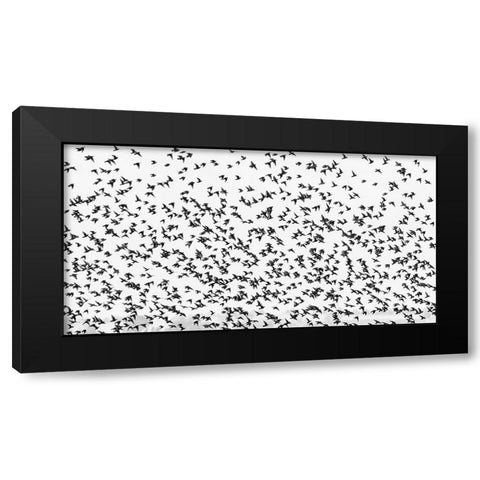 stars Black Modern Wood Framed Art Print by Hermann, Uschi