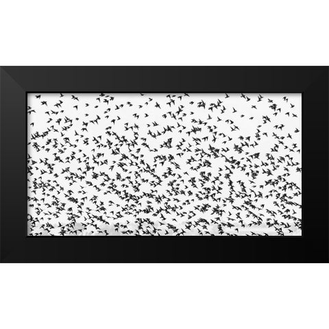 stars Black Modern Wood Framed Art Print by Hermann, Uschi