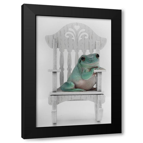 Rocking Whites Tree Frog Black Modern Wood Framed Art Print by D Lester, Linda