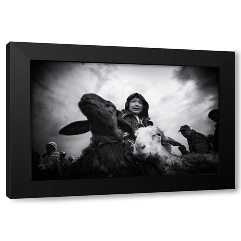 Animal Market - 1396 Black Modern Wood Framed Art Print with Double Matting by Garik