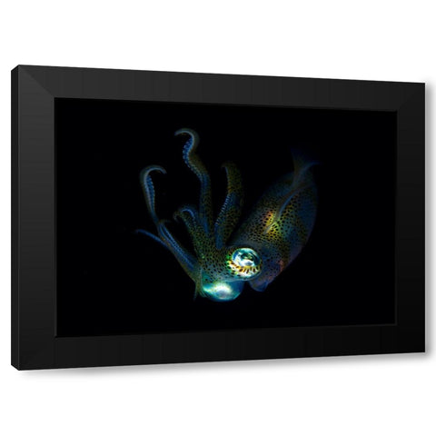 Night Elf (Squid) Black Modern Wood Framed Art Print by Y Lin, Ryan