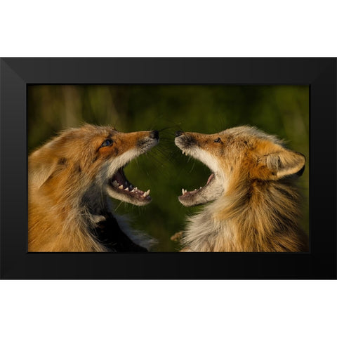 Singing Black Modern Wood Framed Art Print by W, Joanna