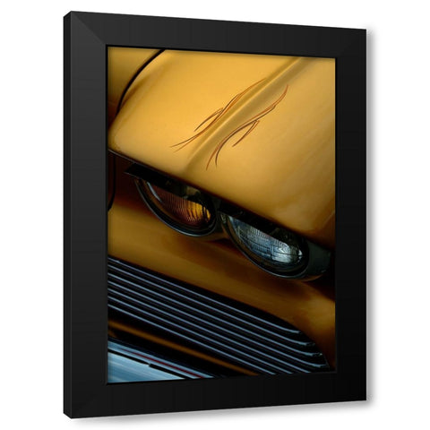Tiger Eye Black Modern Wood Framed Art Print with Double Matting by Peach, Don