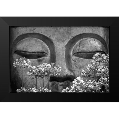 What a scent! Black Modern Wood Framed Art Print by Silva, Miguel