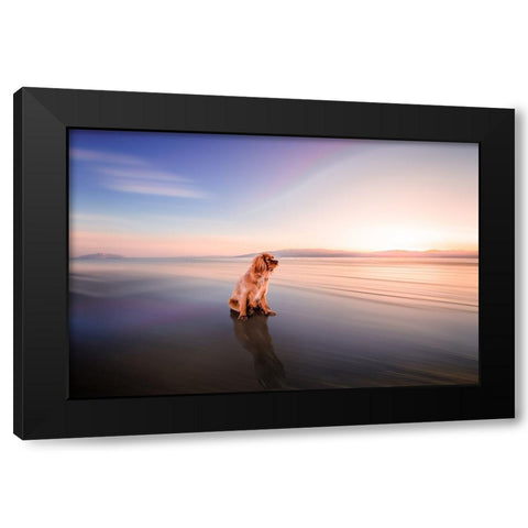 Cookie Black Modern Wood Framed Art Print by Zielinska, Barbara