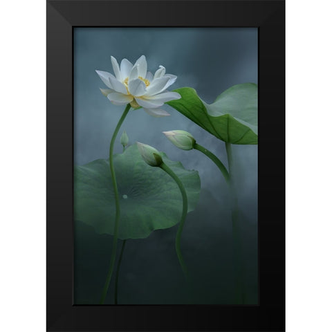 Lotus Black Modern Wood Framed Art Print by Ye, Ningyun