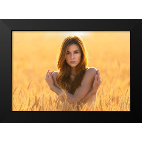 Wheat And Isabella Black Modern Wood Framed Art Print by Waldmann, Shlomo