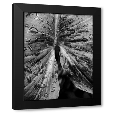 Leafy Looks Black Modern Wood Framed Art Print by Allen, Elizabeth