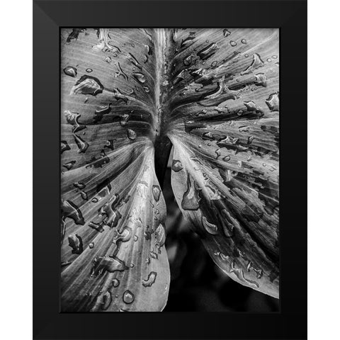 Leafy Looks Black Modern Wood Framed Art Print by Allen, Elizabeth