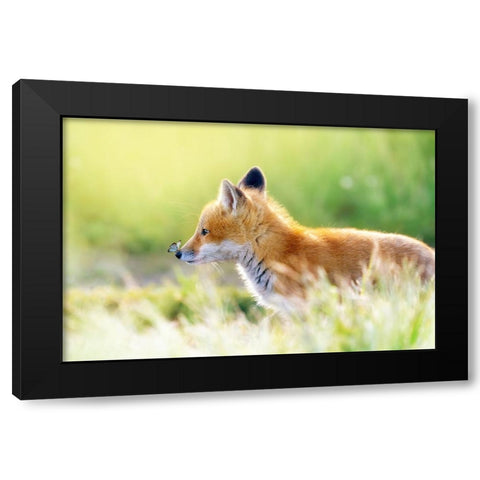 ccc Black Modern Wood Framed Art Print by Fengying Long