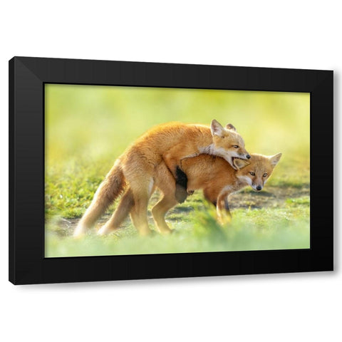 AnÂ‰AeÂˆÂ Black Modern Wood Framed Art Print by Fengying Long