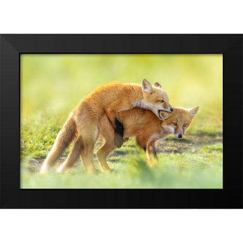 AnÂ‰AeÂˆÂ Black Modern Wood Framed Art Print by Fengying Long