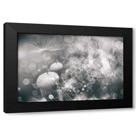 Extravaganza Black Modern Wood Framed Art Print with Double Matting by Kopcev, Igor